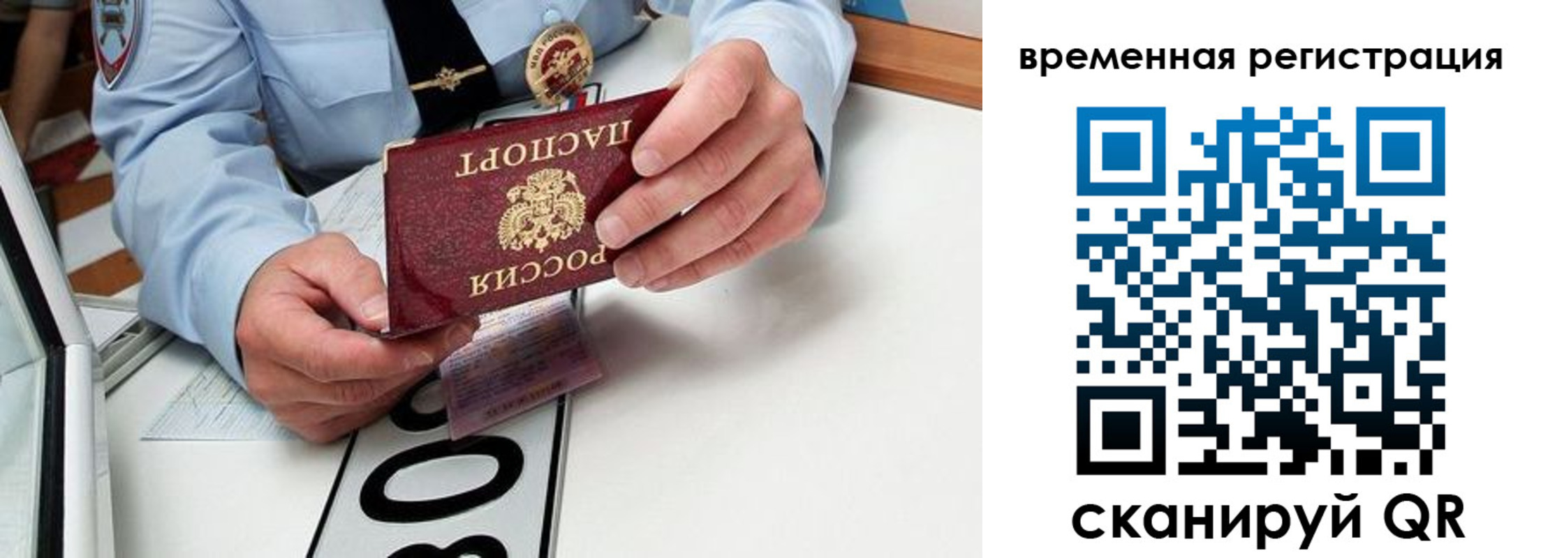 прописка гарантия в Далматово
